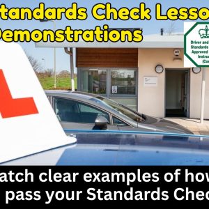 Standards Check Lesson Demonstrations